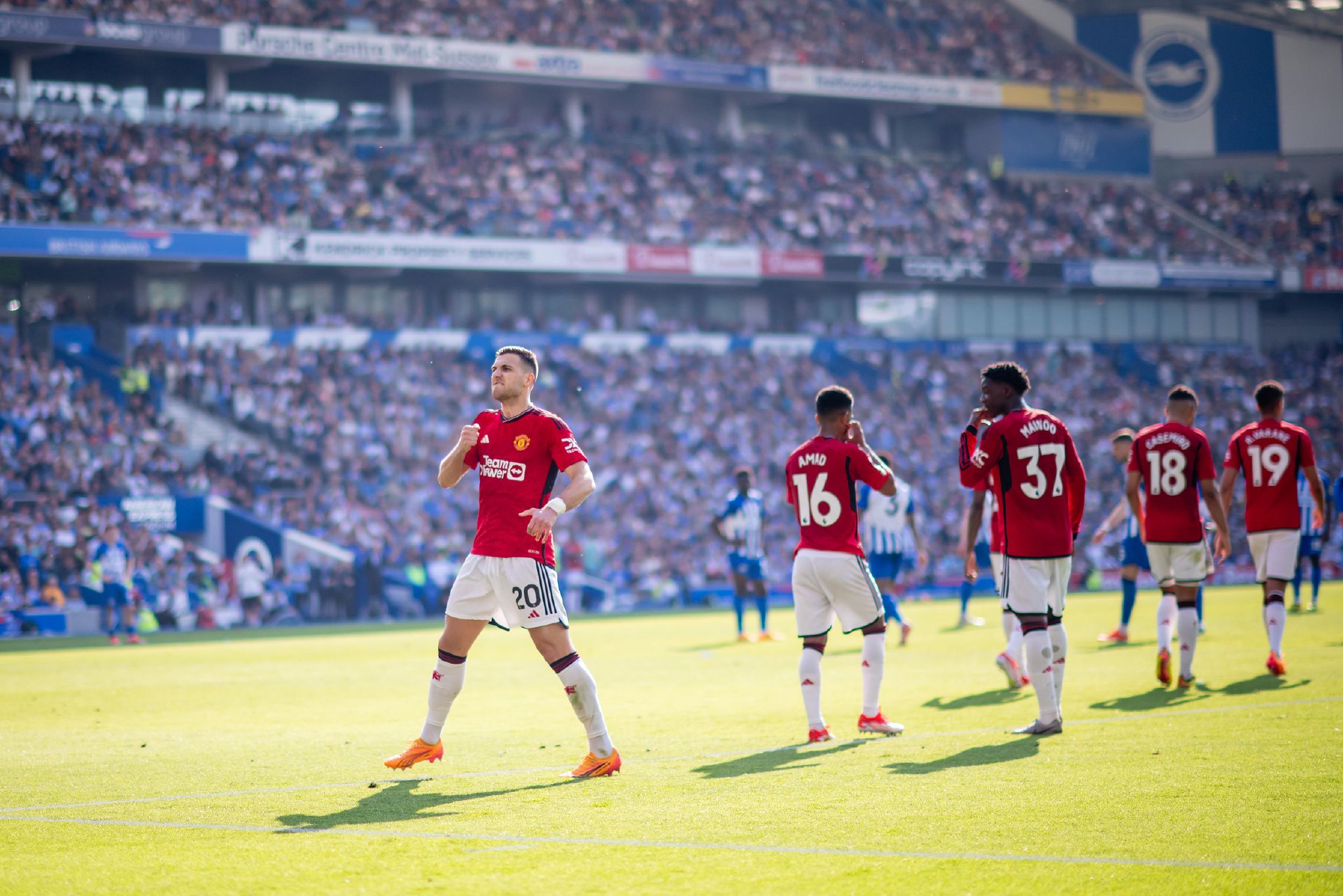 更为坚实的 更为坚实的