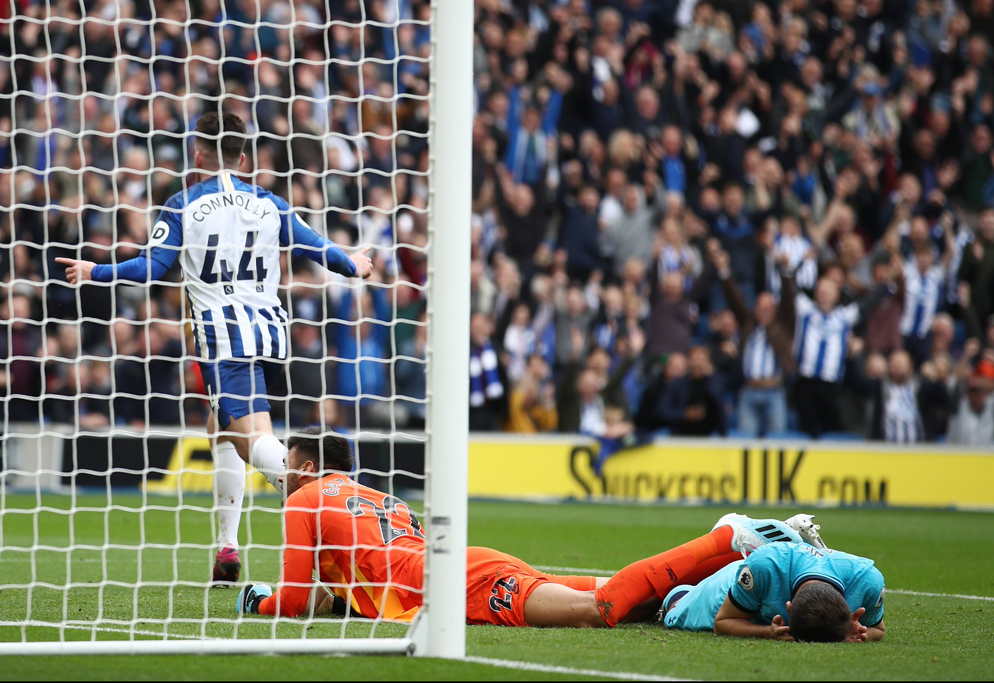 老鹰队的防 老鹰队的防